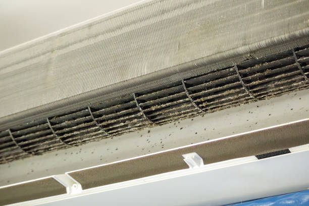 Best Affordable Air Duct Cleaning  in Duncansville, PA